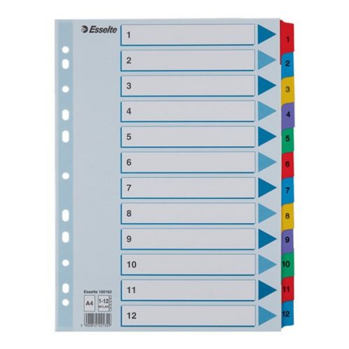 Regiszter ESSELTE Mylar A/4 laminált karton 1-12