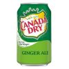 Üdítőital szénsavas CANADA DRY 0,33L