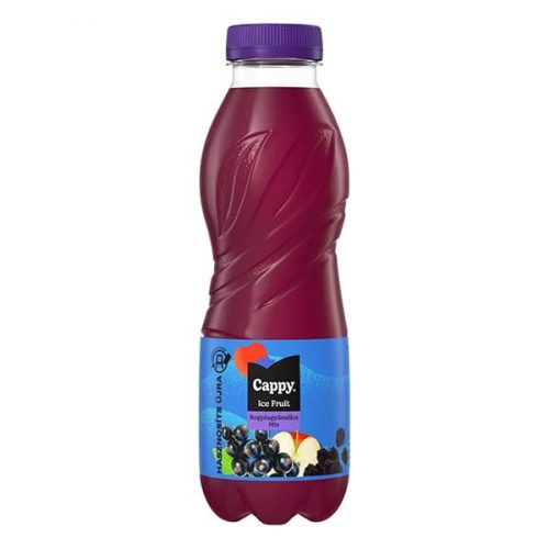 Üdítőital szénsavmentes CAPPY Ice Fruit Erdei gyümölcs 12% 0,5L