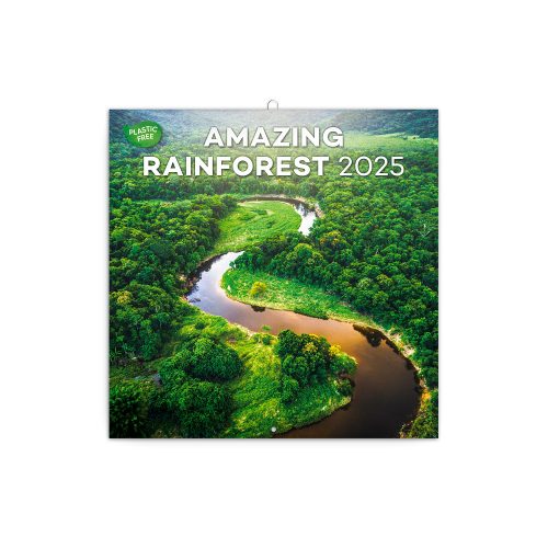 Falinaptár képes lemeznaptár 300x300mm, Amazing Rainforest Realsystem 2025.