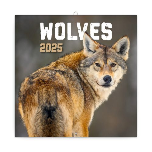 Falinaptár képes lemeznaptár 300x300mm, Wolves Realsystem 2025.